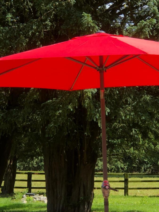 Le Domaine D'Olene Bed & Breakfast Le Pin  Luaran gambar
